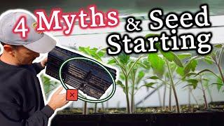4 Seed Starting Downfalls We Want You To Avoid