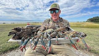 Giant Crawfish and Wild Quail in Mexico (Catch and Cook) Langostinos & Codorniz