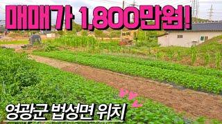 [전남토지매매] 매물번호#385 매매가 1,800만원 토지 매매 ! 영광군 법성면 삼당리 촌땅 시골땅 시골집 촌집 토지 매매