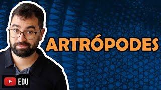 Artrópodes (Parte 1) - Aula 20 - Módulo VI: Zoologia | Prof. Guilherme