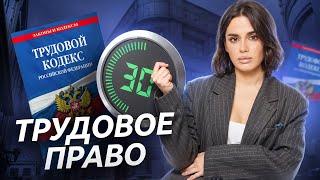 Трудовое право ЕГЭ Обществознание 2025 I Умскул