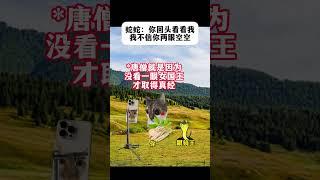 #猫meme小剧场 #猫meme #猫meme搞笑剧情 #猫meme剧场