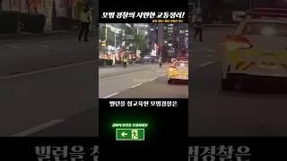 교통정리에대해 당신이 몰랐던 사실