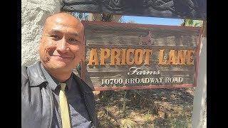 Touring Apricot Lane Farms in Moorpark, CA | 'THE BIGGEST LITTLE FARM' Docu