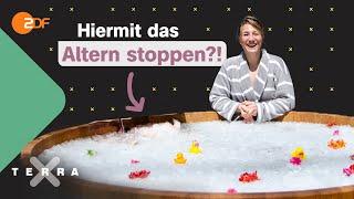 Fasten & Eisbaden: Mit Biohacking das Altern stoppen? | Terra Xplore mit Biologin Jasmina Neudecker