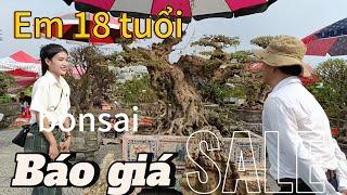 Tham quan, Tham khảo giá cây bonsai tại festival Thủ Đô 2024