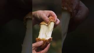 THE Cheeseburger (Lamb) | Recipe | Almazan Kitchen