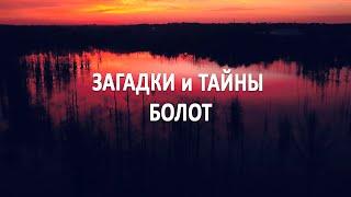 Загадки и тайны болот. Что говорят о них современные учёные? #интересное