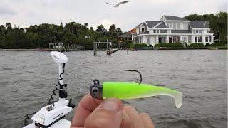 Inshore Fishing with Swimbaits... EVERY CAST!