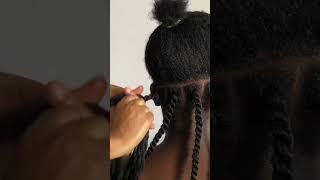 Senegalese Twist using rubber band method #senegalesetwist #rubberbandhairstyles #rubberband #twist