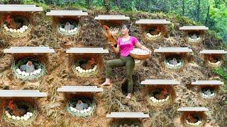 TIMELAPSE - 30 Days Build Many Nest For Hens To Lay Egg - Harvest Chicken Egg, Ducks Go To Sell