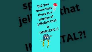 Did you know that there is a immortal jellyfish?!#jellyfish #immortal #facts #jujalarimfunk