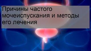 Причины частого мочеиспускания и методы его лечения