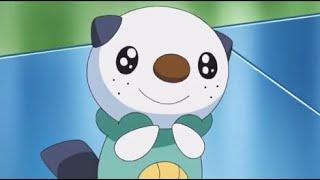 Oshawott's Cute Moments