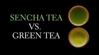 Sencha vs Green Tea - What's The Difference?