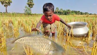 Fishing Video | The Fun Of Fishing With A Hand In The Village Bill Rain Water  Best Rod Fishing