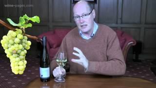 winepagesTV: Pfluger Riesling Trocken 2013, wine review