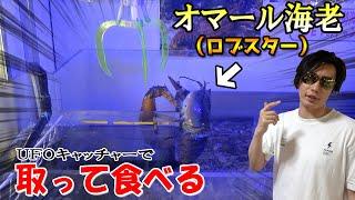 高級食材「ロブスター」が取れるクレーンゲームで奇跡が起きてしまったww【UFOキャッチャー／サブマリンキャッチャー】