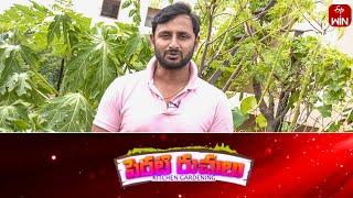 Perati Ruchulu | 19th Sep 2024 | Full Episode | ETV Abhiruchi