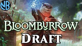 WINNING WITH THE "WORST" DECK IN BLOOMBURROW DRAFT!!!