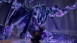 Godefroy The Grafted (Golden Lineage Evergaol) - Elden Ring