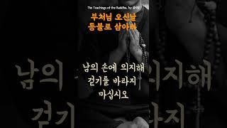 부처님오신날 | 스스로를 등불로 삼아라 | 부모자식갈등 | 마음치유영상 | 명상의말씀 | 명언모음 | 부처님말씀