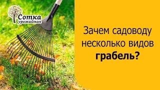 Зачем садоводу несколько видов грабель?