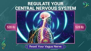 Regulate Your Central Nervous System - Reset Your Vagus Nerve - Deep Heal Brain & Body - 528 Hz