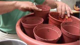 Ask Ian: Container Gardening