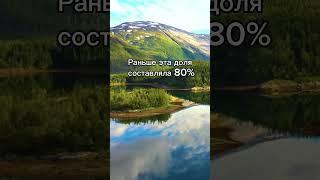Россияне продолжают держать деньги в грузинских банках