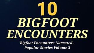 10 BIGFOOT ENCOUNTERS - Bigfoot Encounters Narrated: Popular Stories Volume 3