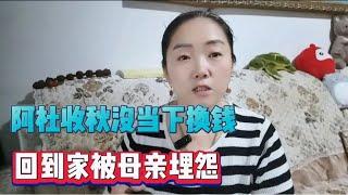 阿杜收花生回家，母亲埋怨他为什么不把花生直接卖掉换钱，真无语