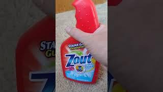 Zout Action Foam to remove carpet stains.