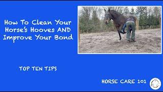 How to Clean Your Horse's Hooves AND Improve Your Bond