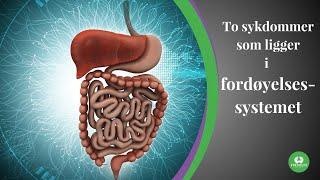 IBS og Obstipasjon - To sykdommer som ligger i fordøyelsessystemet 17/21 | LEV DEG FRISK E17S03