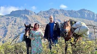 Iran Nomadic Life: Moving to Lower Grounds & Setting Up Camp for the Seasonal Migration