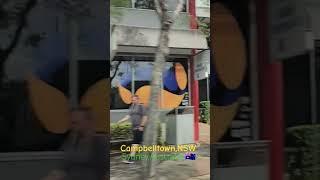 Campbelltown,NSW,Sydney,Australia  #shorts #campbelltown #nsw #sydney #australia