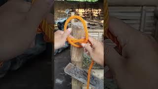 Popular Knots! Which is very easy, fast, and reliable