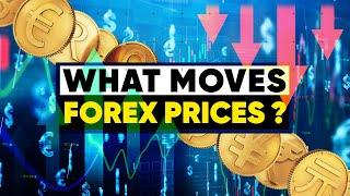 Forex - What Moves the World's Biggest Market?