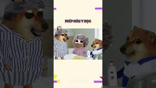 Phép màu y học | Cheems Nhân Văn