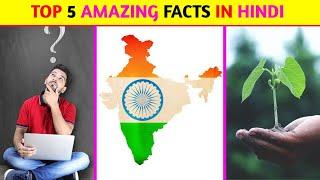 Top 5 Amazing Facts In Hindi | Mind Blowing Facts | Random Facts | Facts In Hindi | #shorts