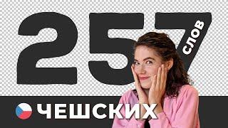 Самые используемые чешские слова • Часть 1 • Чешский язык с нуля #5