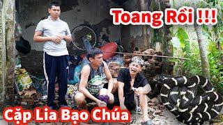 Hậu Cáo -