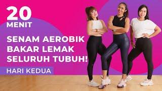 7 Hari Menurunkan Berat Badan dengan Senam Aerobik! Bakar Lemak Seluruh Tubuh | Hari Kedua