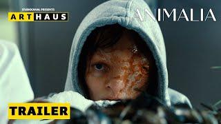 ANIMALIA | Trailer Deutsch | ab 11. Januar 2024 im Kino