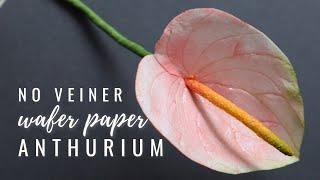 How to make Wafer Paper Anthurium - no molds | Florea Cakes