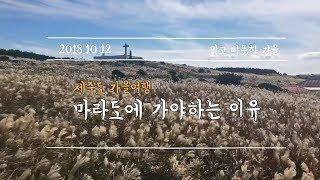 [제주 가을여행] 마라도 이렇게 여행하면 좋아요!