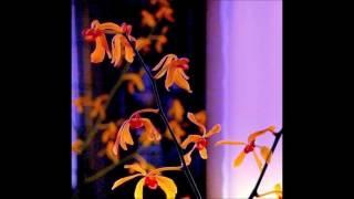PETER SCHNEIDER  "GOODBYE "  ( with lyrics )