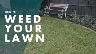 How To Weed Your Lawn | Bunnings Warehouse [How-to guide]