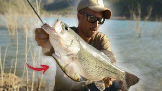 [SWIMBAIT REPUBLIC] Pescamos BLACK BASS con la "MOVIE" - Ep.1